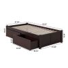 Twin XL Platform Bed Frame with 2 Storage Drawers in Espresso